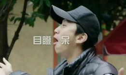 娱乐吃瓜君顶流,顶流明星背后的故事与真相