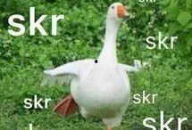 网上流行的吃瓜是什么意思,围观娱乐圈背后的真相