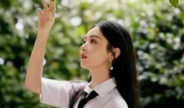 娱乐吃瓜君顶流,顶流明星背后的故事与真相