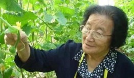 游戏发行人娱乐圈吃瓜